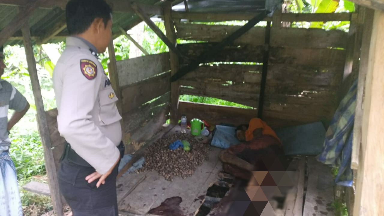Aksi Nekat Warga Sinjai, Potong Kelaminnya Pakai Celurit di Rumah Kebun